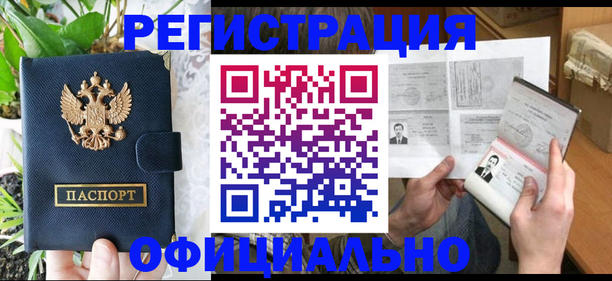 прописка поиск в Камышине